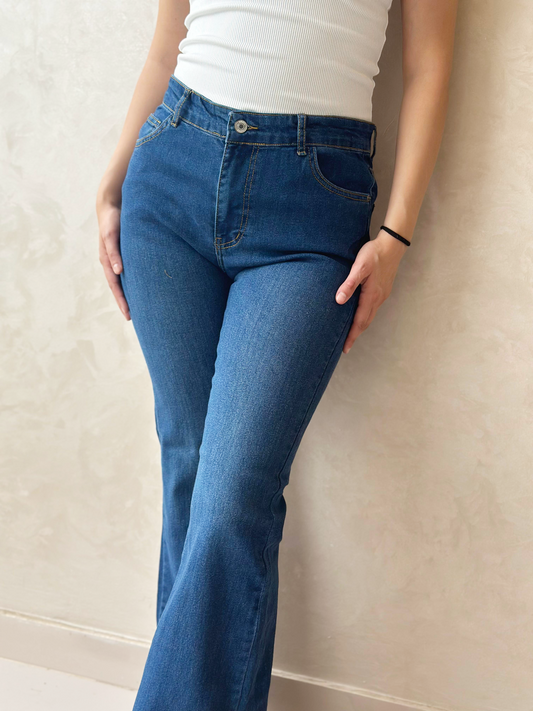 Charleston Retro Flare Denim